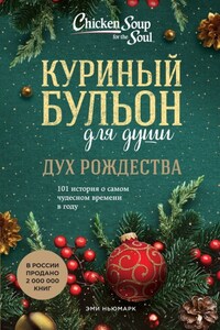 Куриный бульон для души. Дух Рождества. 101 история о самом чудесном времени в году