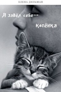 Я завёл себе... котёнка