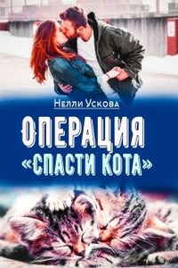 Операция «спасти кота»