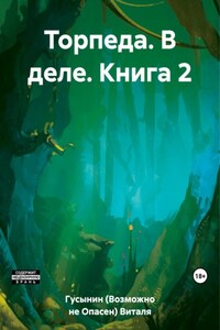 Торпеда. В деле. Книга 2