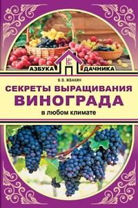 Секреты выращивания винограда в любом климате. Проверенные способы формировки винограда