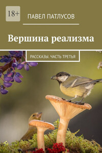 Вершина реализма. Рассказы. Часть третья