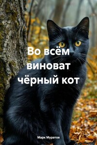 Во всём виноват чёрный кот