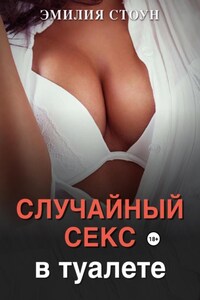 Случайный секс в туалете