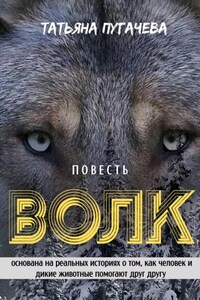 Волк