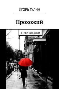 Прохожий. Стихи для души