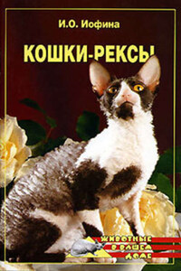 Кошки – рексы