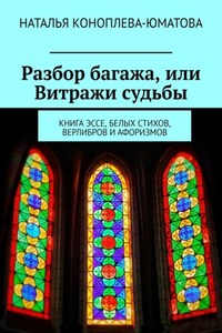 Разбор багажа, или Витражи судьбы. Книга эссе, белых стихов, верлибров и афоризмов