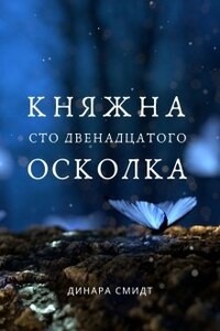 Княжна Сто Двенадцатого Осколка