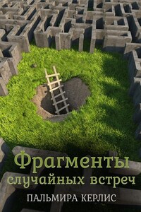 Фрагменты случайных встреч (сборник)