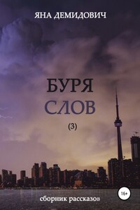 Буря слов 3