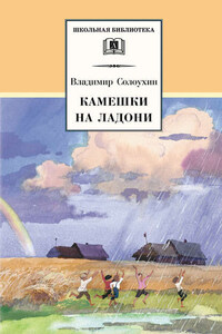 Камешки на ладони (сборник)