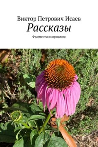 Рассказы. Фрагменты из прошлого