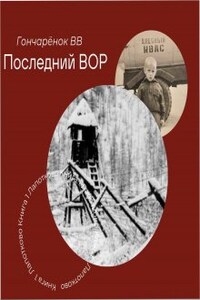 Последний вор. книга 1 Лапотково. Воровская зона.