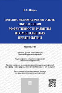 Теоретико-методологические основы обеспечения эффективности развития промышленных предприятий. Монография