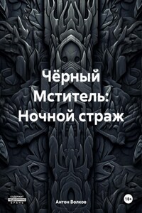 Чёрный Мститель: Ночной страж