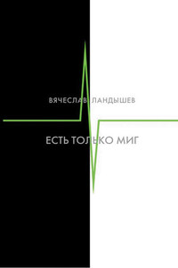 Есть только миг