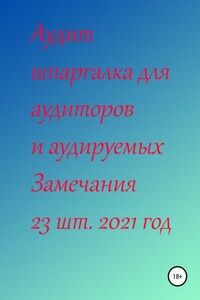 Аудит шпаргалка для аудиторов и аудируемых. Замечания 23 шт. за 2021 год