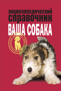 Энциклопедический справочник. Ваша собака