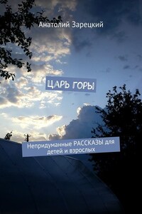 Царь горы. Непридуманные РАССКАЗЫ для детей и взрослых