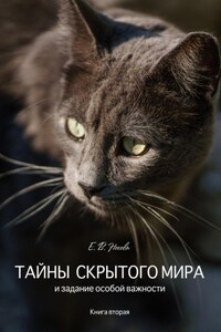 Тайны скрытого мира и задание особой важности. Книга вторая