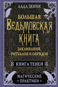 Большая ведьмовская книга заклинаний, ритуалов и обрядов. Магические практики. Книга Теней