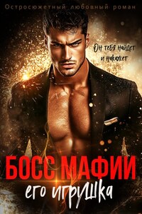 Босс мафии. Его игрушка