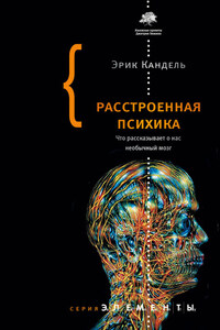 Расстроенная психика. Что рассказывает о нас необычный мозг