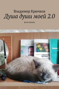 Душа души моей 2.0. флэш-фэкшн