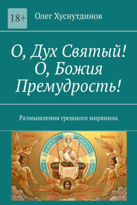 О, Дух Святый! О, Божия Премудрость! Размышления грешного мирянина