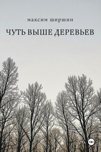 Чуть выше деревьев