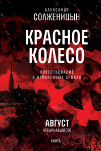 Красное колесо. Узел I: Август Четырнадцатого. Книга 2. Том 2