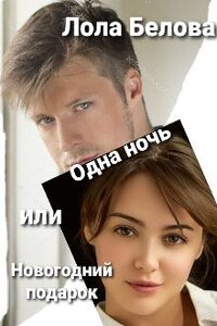 Одна ночь или новогодний подарок.