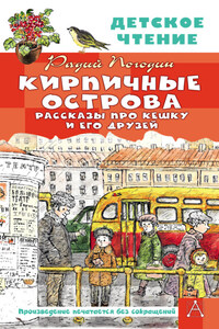 Кирпичные острова. Рассказы про Кешку и его друзей