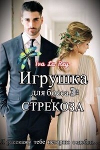 Игрушка для босса 3: Стрекоза