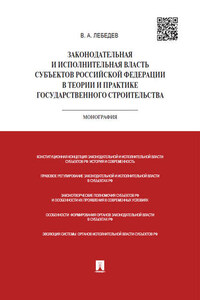 Законодательная и исполнительная власть субъектов РФ в теории и практике государственного строительства. Монография