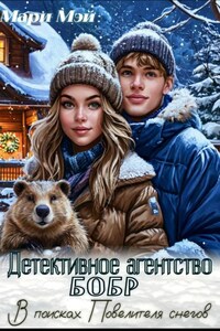 Детективное агентство Бобр. В поисках Повелителя снегов