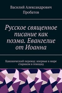 Русское священное писание как поэма. Евангелие от Иоанна. Канонический перевод: впервые в мире стариком в геноцид