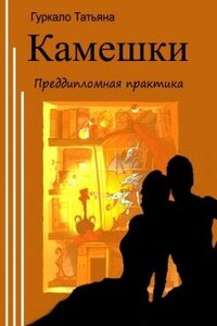 Камешки. Преддипломная практика