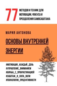 Основы внутренней энергии. 77 методов и техник для мотивации, фокуса и преодоления самосаботажа