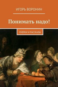 Понимать надо! Очерки и рассказы