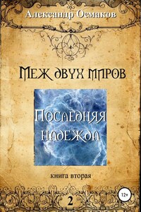 Меж двух миров 2: Последняя надежда