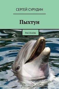 Пыхтун. Рассказы