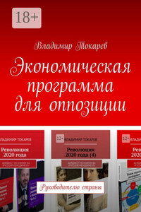 Экономическая программа для оппозиции. Руководителю страны