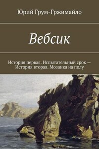 Вебсик. История первая. Испытательный срок – История вторая. Мозаика на полу