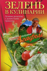 Зелень в кулинарии. Лучшие рецепты с душистыми травами