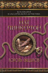 Король сыщиков (сборник)