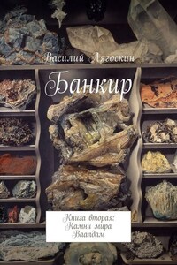 Банкир. Книга вторая: Камни мира Ваалдам