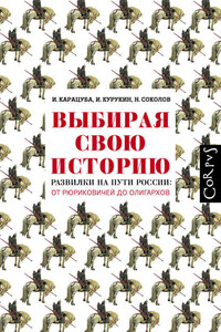 Выбирая свою историю. Развилки на пути России: от Рюриковичей до олигархов