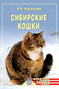 Сибирские кошки